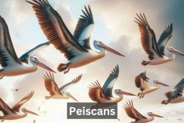 Peiscans