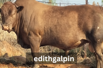 edithgalpin