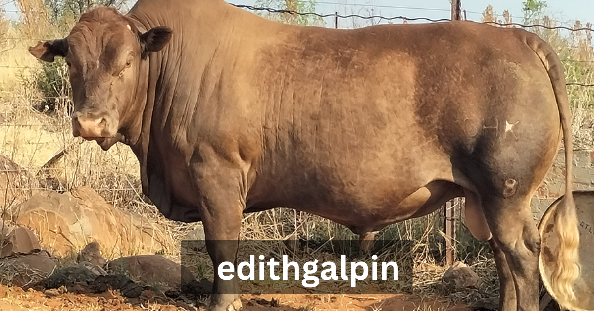 edithgalpin