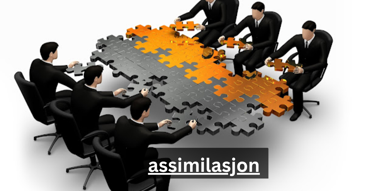 assimilasjon